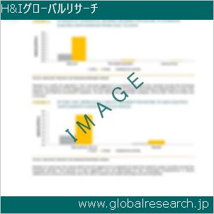 グローバルリサーチ調査レポートのイメージ